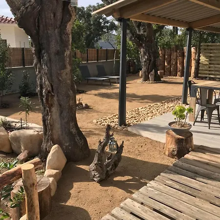 L'accugliente * Lecci