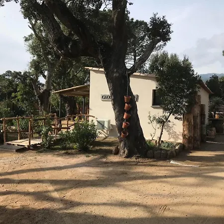 L'accugliente * Lecci