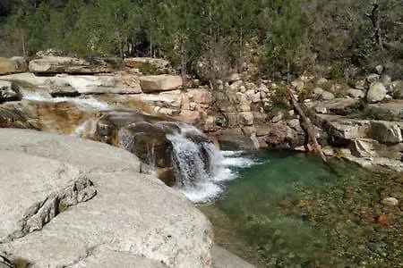 L'accugliente * Lecci