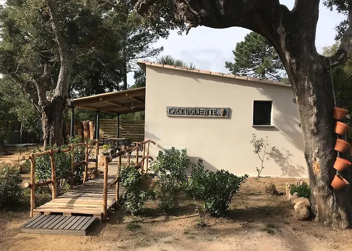 L'accugliente *