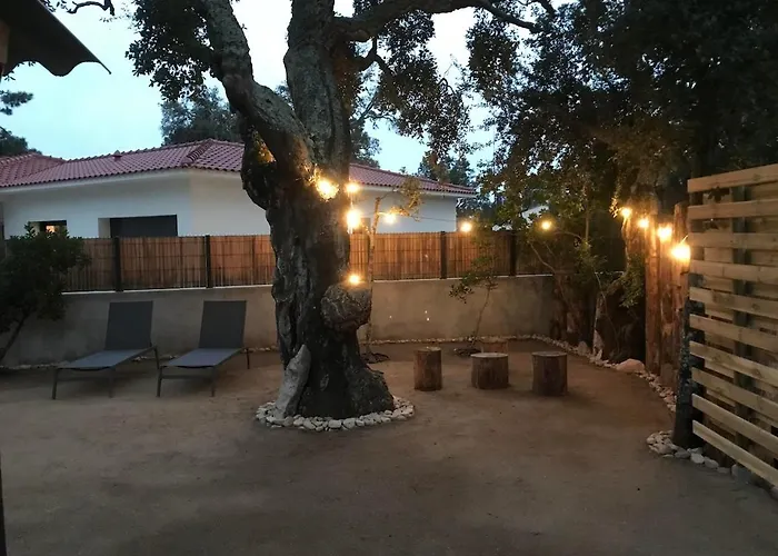 L'accugliente