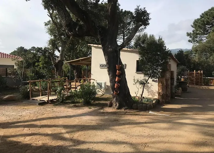 L'accugliente * Lecci